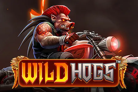 Wild Hogs